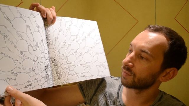 Раскраска "Аниморфозы"+учебник для рисования портретов+bonus смотреть онлайн