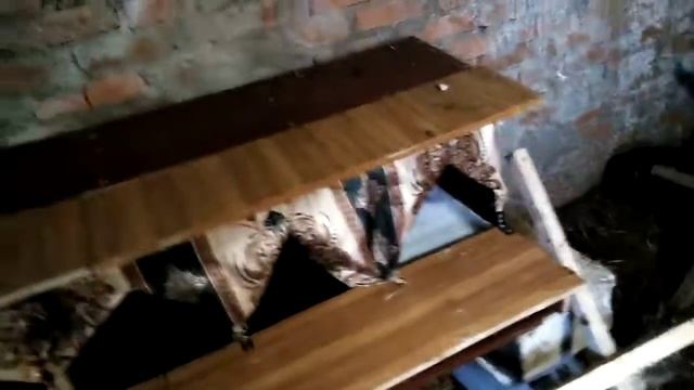 Куры расклевывают яйцо... Что делать.. смотреть онлайн