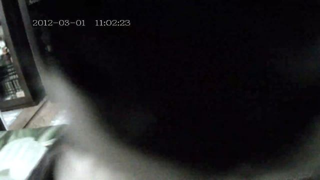 ЕНОТ И ХАСКИ смотреть онлайн