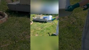 Они выкинули а я забрала!