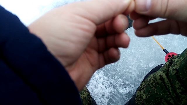 Рыбалка в глухозимье. Кошка очень довольна.