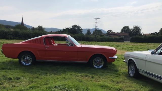 1965 Ford Mustang Shelby GT350 vs 1965 Ford Mustang GT 2+2 Fastback 289 V8 | Exhaust plus WalkAroun смотреть онлайн