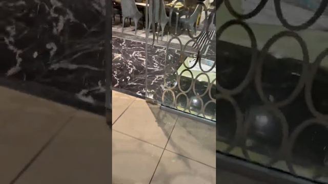 Шпиц. 🤩 Вау Марк гуляет в торговом центре. Уход за Шпицом! Салон в котором делаем уход Марку! смотреть онлайн