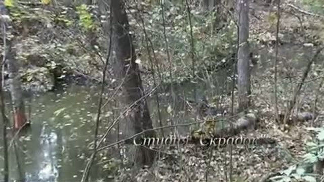 Осень смотреть онлайн