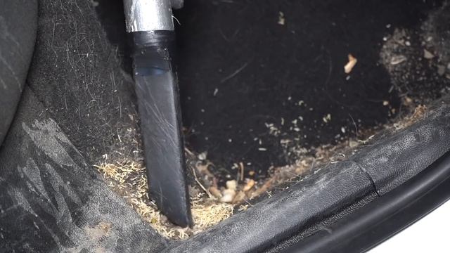 Deep Cleaning a SUPER HAIRY Dog Kennel on Wheels! | The Detail Geek смотреть онлайн