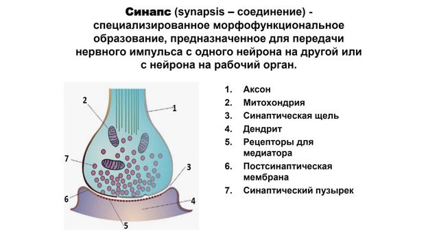 Лекция 2 смотреть онлайн