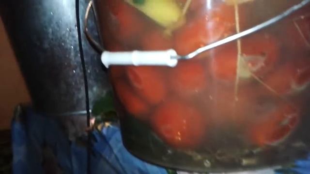 Солим помидоры с горчицей. смотреть онлайн