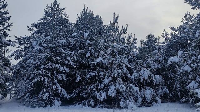 23 января народный праздник День Григория Летоуказателя. Что можно и нельзя делать. Народные примет смотреть онлайн