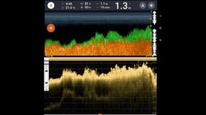 Эхолот Deeper Chirp 2 и Эхолот АкваРобот .Часть 1 озеро ,ищем рыбку в мутной воде))