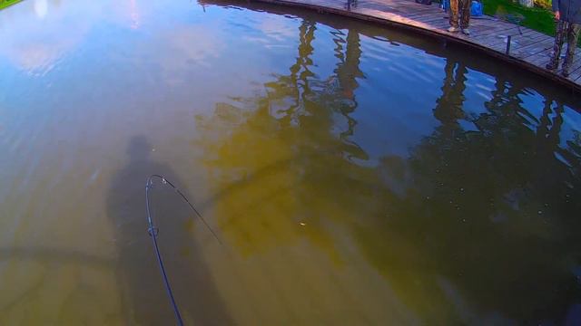 Trout fishing. Moscow region. Fishing club "FISHERIX". 15/07/2017 смотреть онлайн