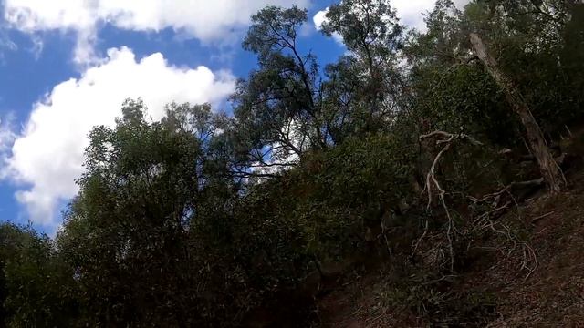 Milsim In A Natural Disaster | A Fustercluck In Airsoft