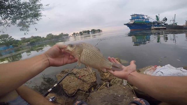 Караси на кукурузу и горох смотреть онлайн