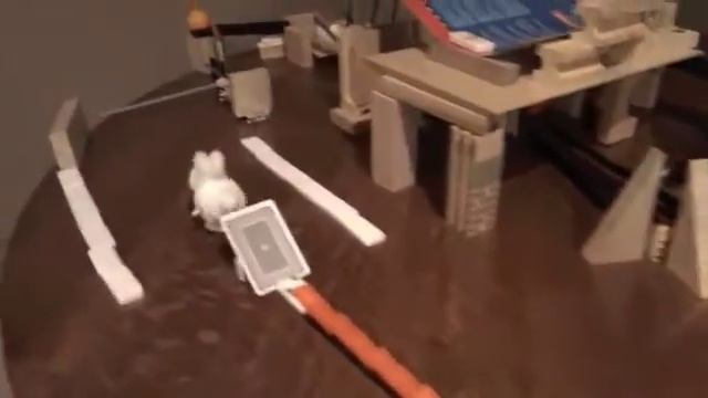 Rube Goldberg #7 - DoodleChaos смотреть онлайн