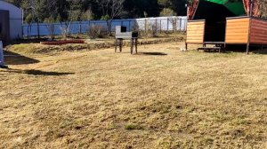 Удобрение газона в весенний период