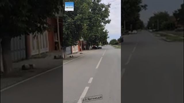 Тхан юртахь тийна ду смотреть онлайн