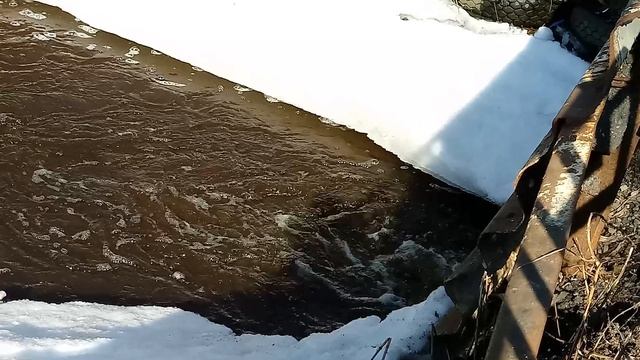 Весенний ручей