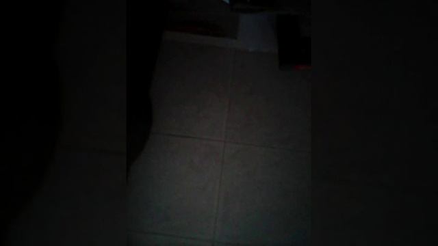 Баян и что это такое смотреть онлайн