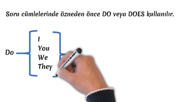 Simple Present Tense Part 2: İngilizce Konu Anlatım - Çizgi Animasyon смотреть онлайн