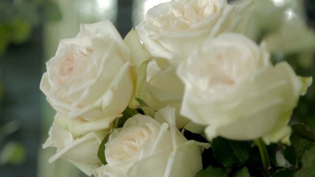 Summer bride смотреть онлайн