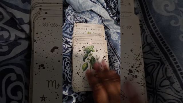 Green Witch Oracle Deck Flip Thru смотреть онлайн