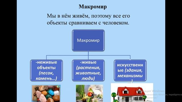 Естествознание. Урок №5 Макро- и микромир смотреть онлайн