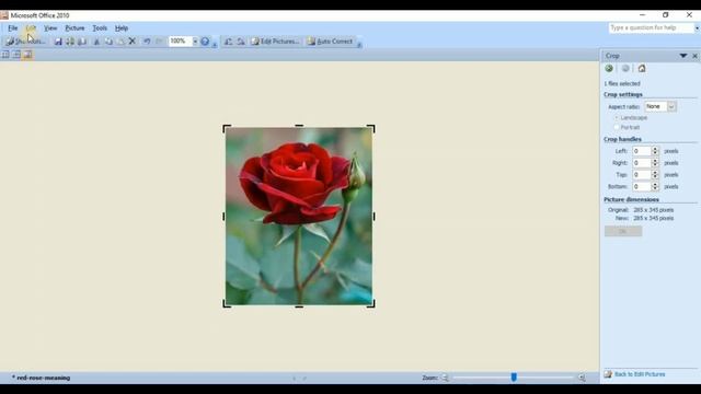 How to Crop Image in Microsoft Office Picture Manager | How do I crop a JPEG image in Hindi смотреть онлайн