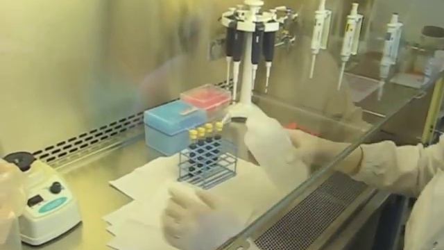 Working in Class II A2 Biological Safety Cabinets смотреть онлайн