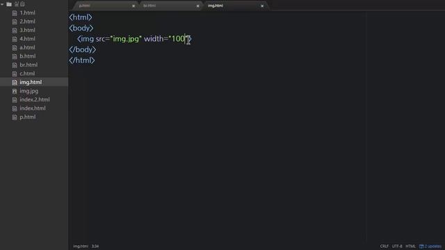 HTML - 이미지 : Img