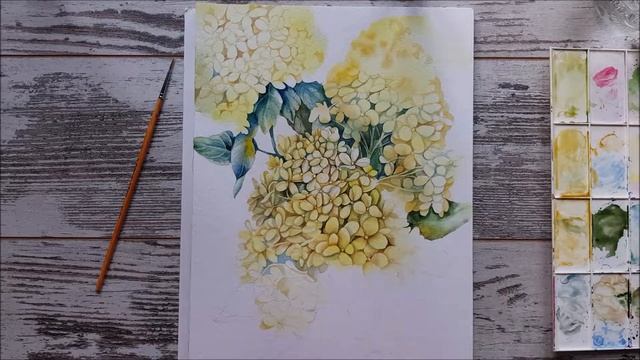 Watercolor Hydrangea (Акварельная Гортензия)