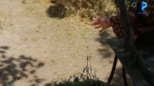 «Бонуи пурхунар» бо иштироки Мехрона