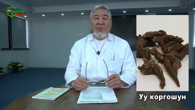 АКОНИТ - УУ КОРГОШУН - ИССЫК - КУЛЬСКИЙ КОРЕНЬ. ОТВЕТ ОТ СПЕЦИАЛИСТА смотреть онлайн