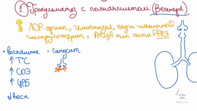 Васкулиты АНЦА: самое важное, симптомы и диагностика смотреть онлайн