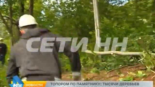 "Черные" лесорубы ударили топором по памятнику природы смотреть онлайн