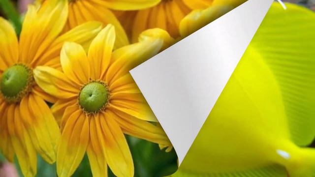 Это чудесное музыкальное чувство попадает прямо в душу и остается в ней навсегда! Сергейчекалин