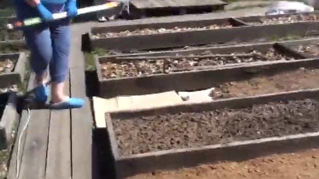 Природное земледелие. Дроб Ирина.  Мульча. Сидераты от проволочника. Опилки. Томаты за 30 дней.