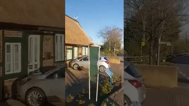 Крыши из казалинского камыша делают в Германии. смотреть онлайн