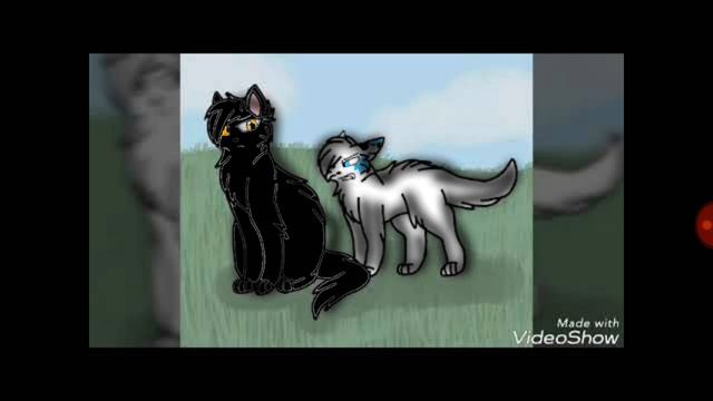 Кого куда готово смотреть онлайн