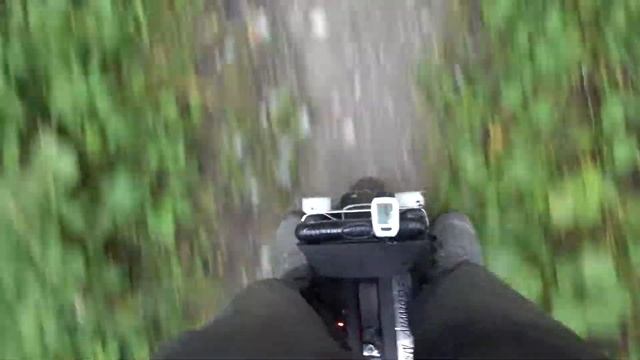 спуск с холма по лесной тропе смотреть онлайн