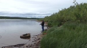 За 2 часа ВЕДРО РЫБЫ и домой / Рыбалка на отводной поводок / Эта резина понравилась рыбе