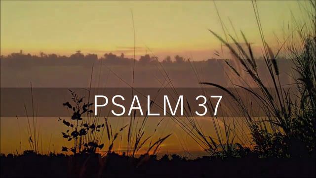 PSALM 37 / Lebenslehre eines Weisen смотреть онлайн