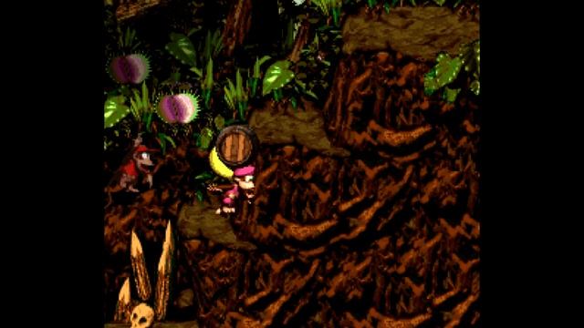 DONKEY KONG COUNTRY 2: DIDDY'S KONG QUEST - 102% PLAY IT THROUGH смотреть онлайн
