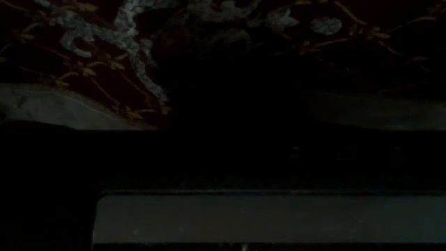 Видео с веб-камеры. Дата: 8 февраля 2014 г., 12:41.