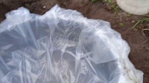 Прудик на даче своими руками Прудик из автомобильной покрышки