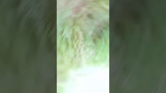 Вокруг меня весь мир крууужит смотреть онлайн