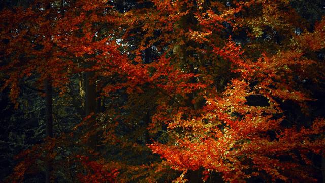 Relax music (пианино и море) смотреть онлайн