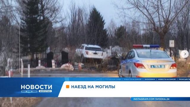 В Красноярске на острове Татышев заметили первых клещей смотреть онлайн