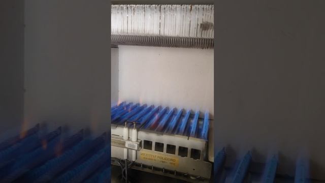 как греет году газовый котёл