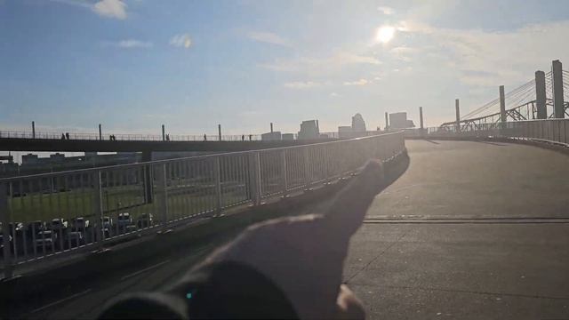 Чудесные Плавания