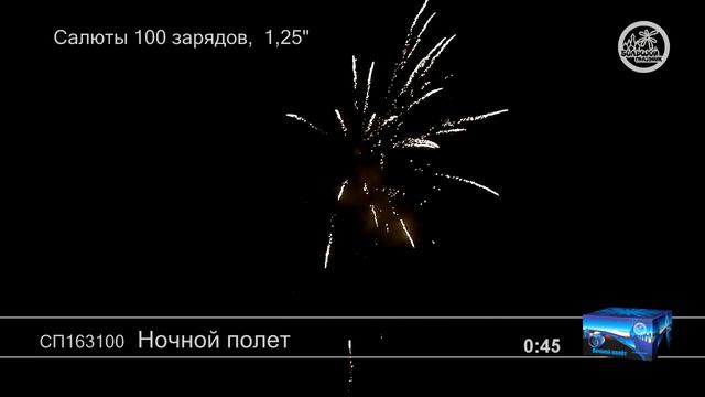 СП163100 Ночной полет смотреть онлайн