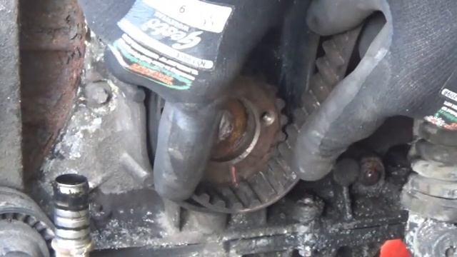 F9QB Timing Belt. смотреть онлайн
